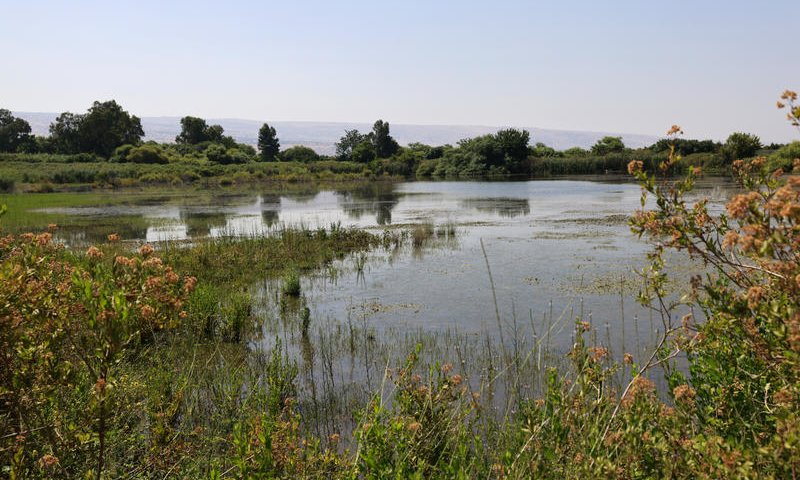משרד הבריאות מזהיר: הכניסה לכאן מסוכנת