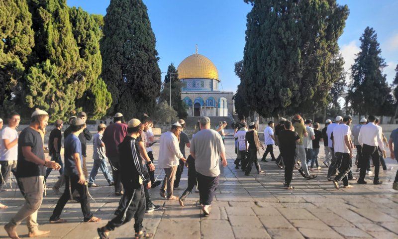 ממשיכים לטפס: שיא כל הזמנים בעליית יהודים להר הבית