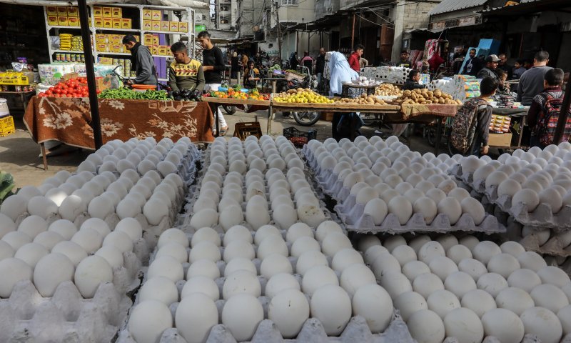 בגלל שפעת העופות: חשש למחסור בביצים