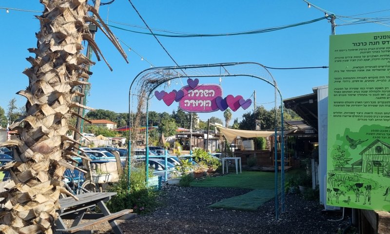 על אורוות האמנים שמעתם? טיול עירוני לפרדס חנה