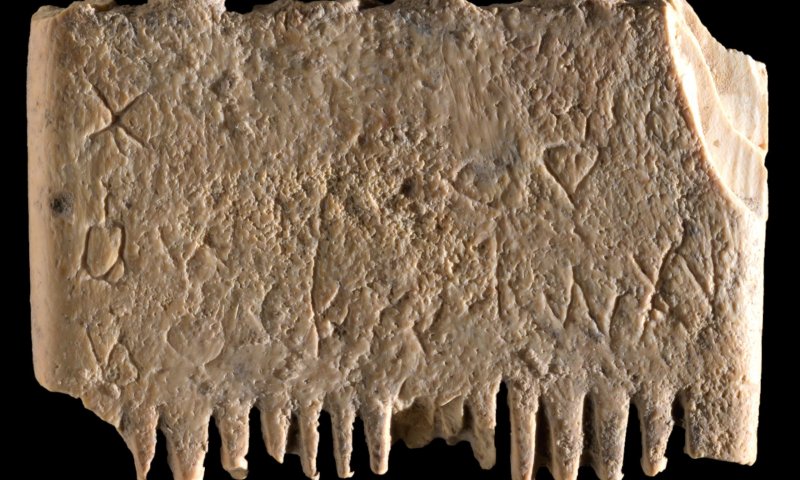 נגד כינים: התגלה המשפט הקדום ביותר שנכתב