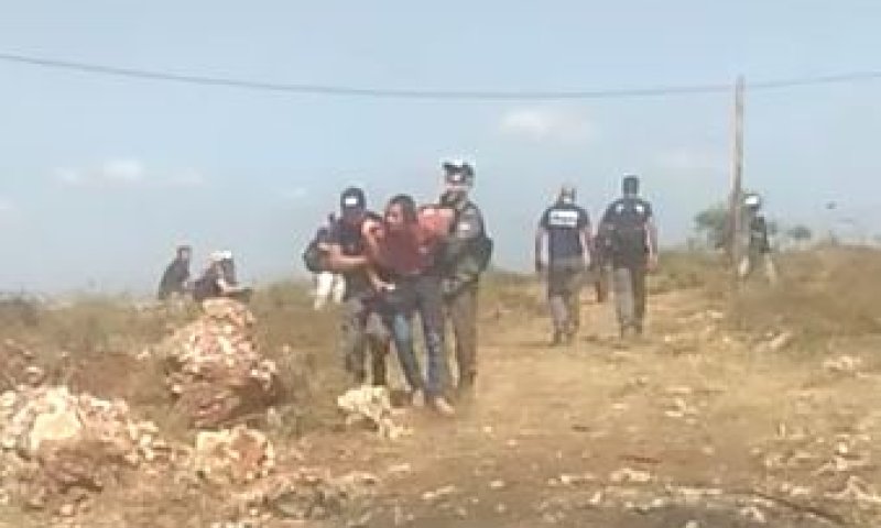 תגובות חריפות לאלימות בפינוי: "תפוחים רקובים"