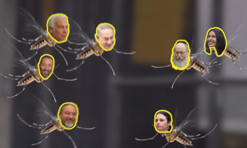 'נבזי': סערה ברשת בעקבות 'סרטון היתושים' של רוזנטל