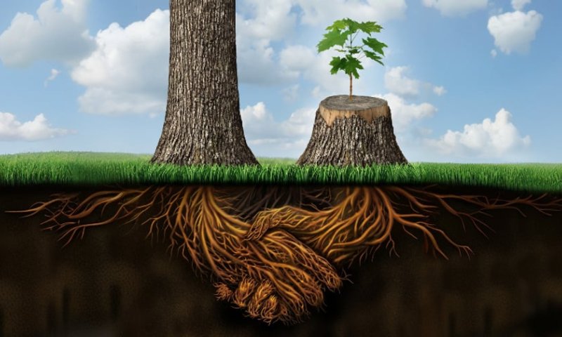 "הוא הרבה פעמים מרגיש זר בתוך הבית שלנו"