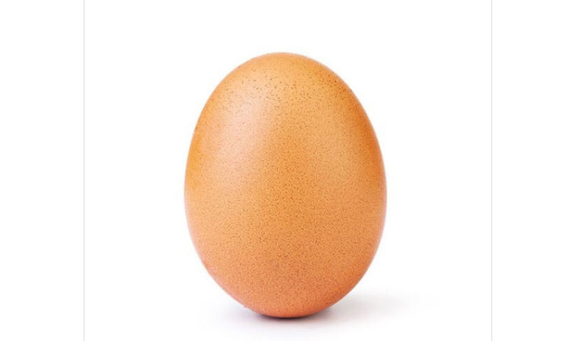 לאחר ששברה שיא עולמי: הביצה הפופולרית נחשפת