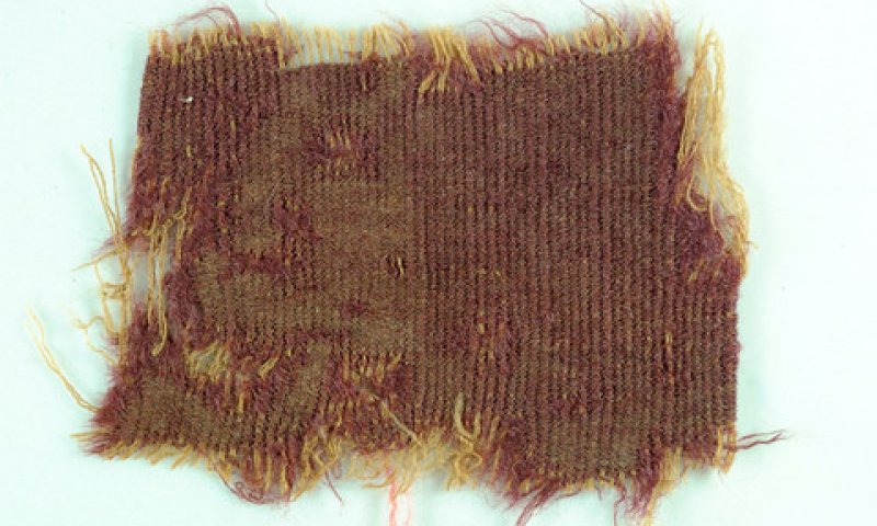 ממש כמו בתורה: נחשפו אריגים שנצבעו בחילזון הארגמן