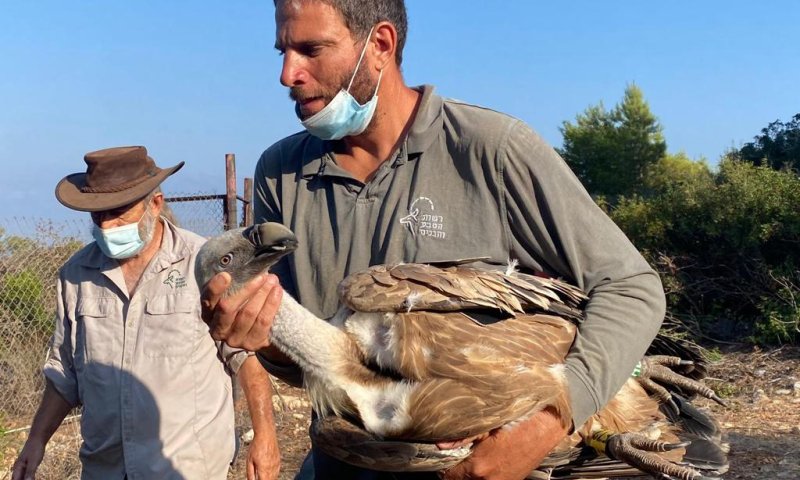 בגלל שפעת העופות: אתר טבע נוסף נסגר לכניסה