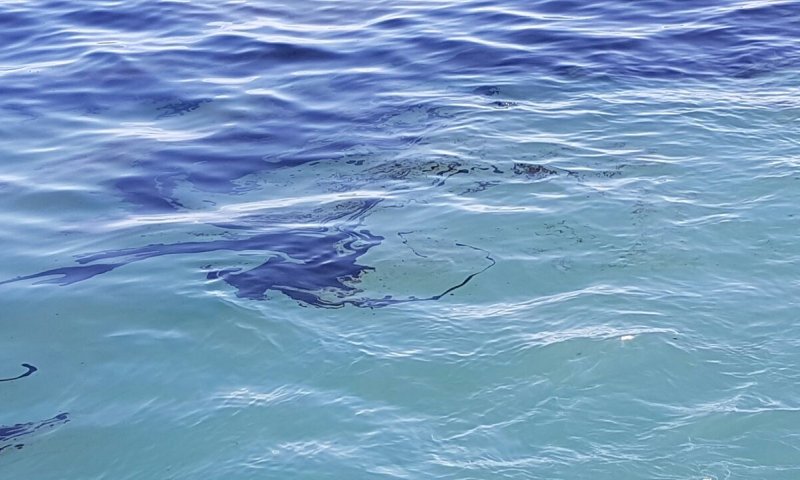 זיהום ימי: כתם שמן התגלה בחופי אשדוד