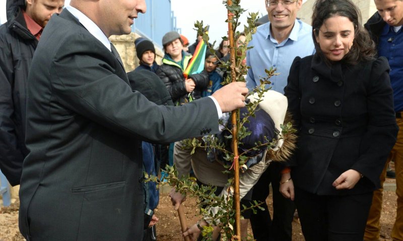 נוטעים בתקוע: התשובה לטרור היא צמיחה