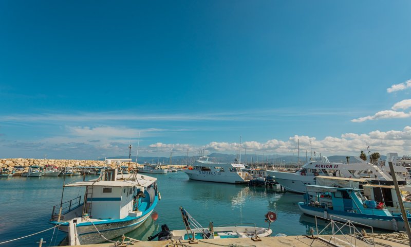 מאחורי ההגירה החרדית לקפריסין: אתחלתא דגאולה