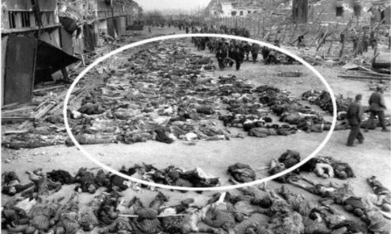 מרתיח: הפלסטינים מבזים את זכר קרבנות השואה