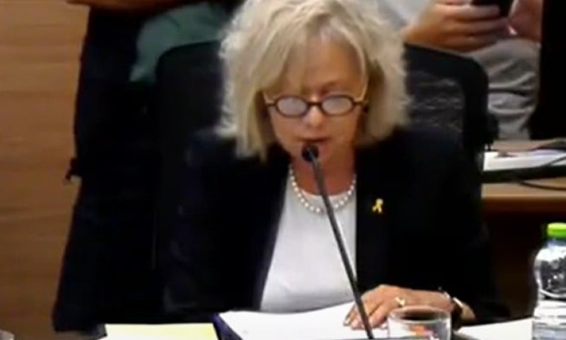 היועמ"שית מסבירה: כך אני מחליטה מתי לפתוח בחקירה