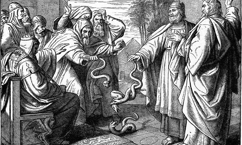 פרשת וארא: כיצד צריכה להראות ההסברה ישראלית