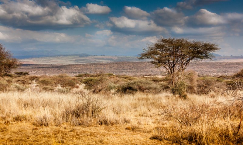 חם ויבש; סופות חול ואובך: תחזית מזג האוויר
