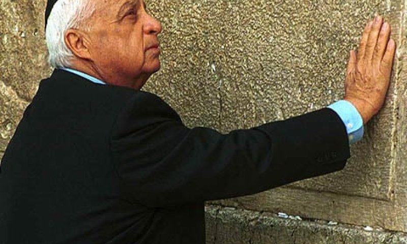 מקורב למשפחת שרון: "עמרי וגלעד מבינים שזה הסוף"