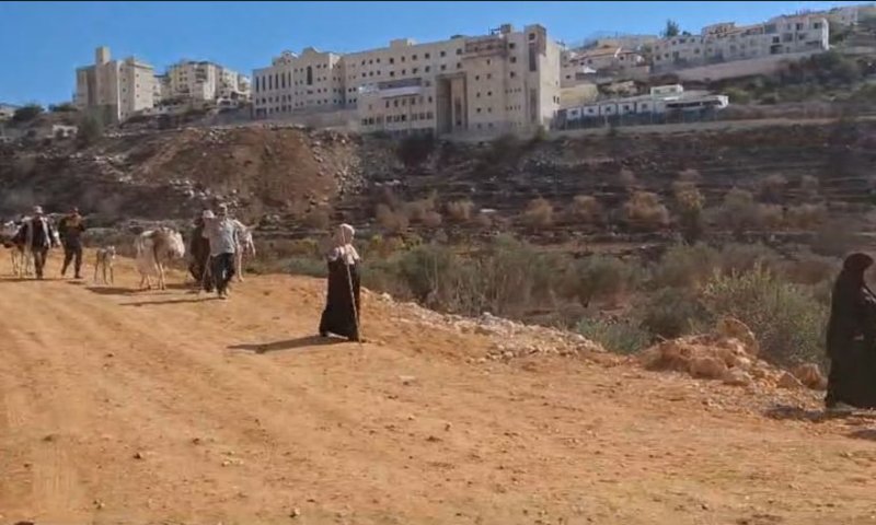 טרור בחסות המסיק: פיגוע ענק נמנע בבית"ר עילית