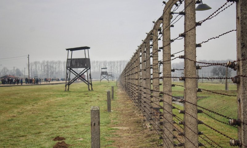 אחרי שלוש שנים: משלחות הנוער לפולין חוזרות