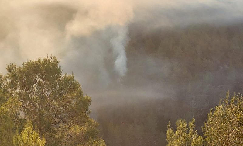 השריפה בהרי ירושלים: החשד &ndash; הצתה מכוונת