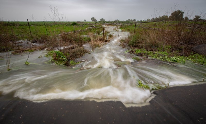 שבוע משוגע: אובך, רעמים, רוח וגשם: תחזית מזג האוויר לשבוע הקרוב