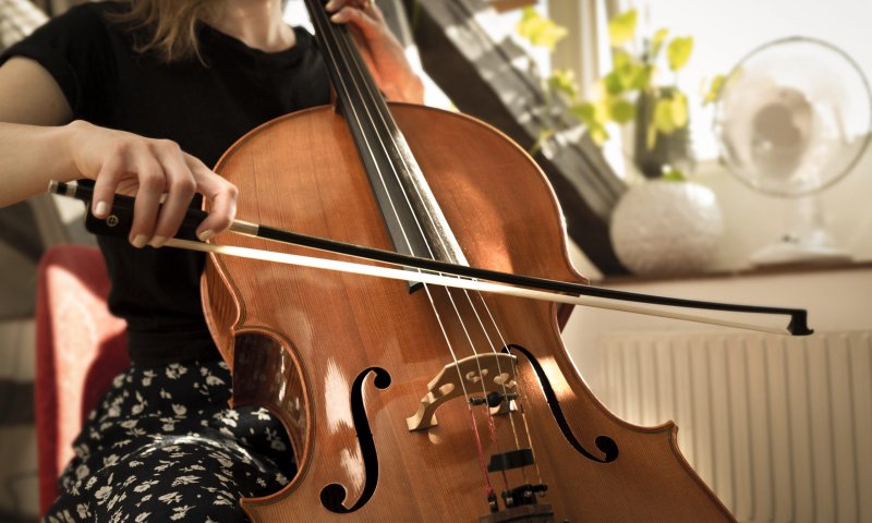 צ'לו לארוחת בוקר | ביקורת ספרים