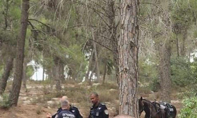 סוף עצוב: הנעדר דוד הס נמצא ללא רוח חיים