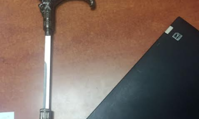 מקל ההליכה "התמים" של התיירת הפתיע את השוטרים