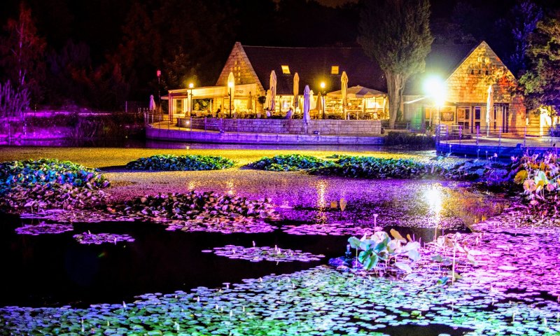 כמה חכינו לקיץ מהאגדות והכל על פי התו הסגול