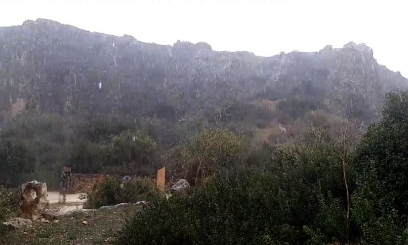 זה מתחיל | גשמים חזקים ברחבי הארץ. צפו בתיעוד