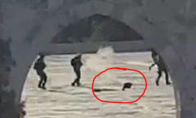 צפו: תיעוד דרמטי: המחבל "המנוטרל" התנפל על שוטר