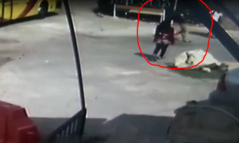 תיעוד: המחבלת דוקרת ורודפת אחרי חייל שבורח