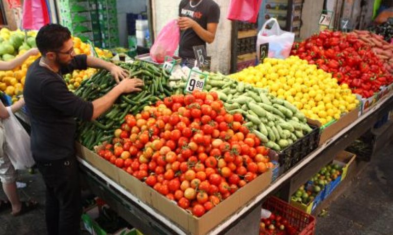 המשנה ליועץ המשפטי נגד הרב הצבאי: יפגע בחקלאות הישראלית‬