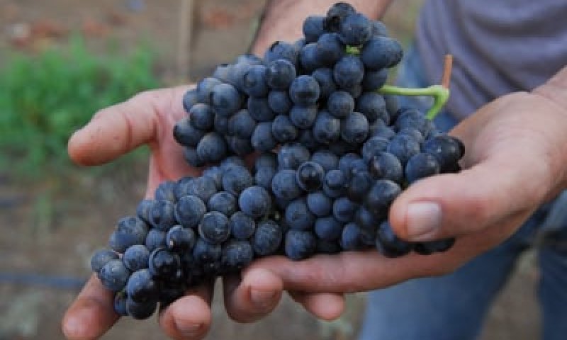 תזכורת: לא לשכוח לעשות שני דברים בערב החג