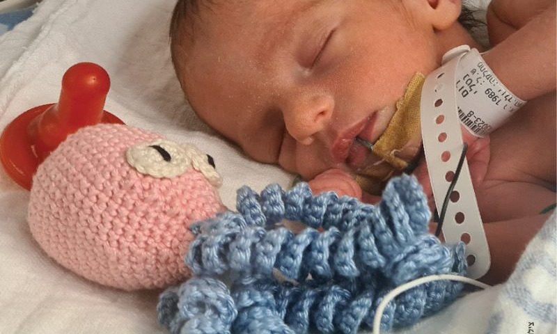 חיבוק באינקובטור: התמנונים שמרגיעים את הפגים הקטנטנים