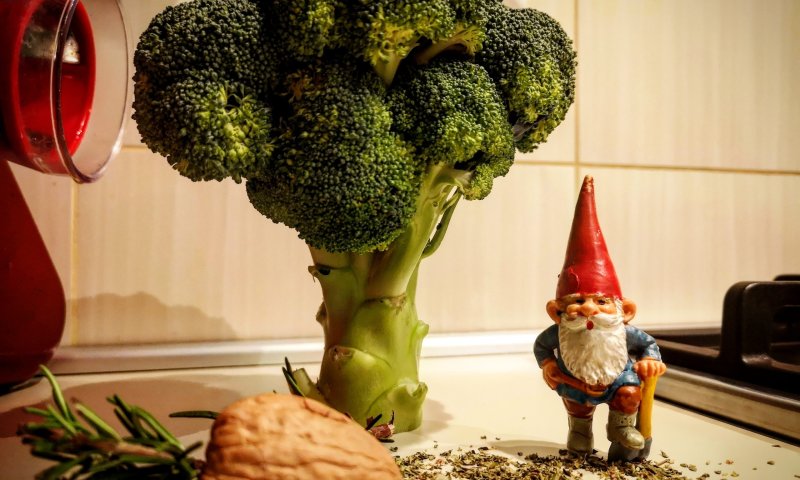 קלאודיו בירן בויד, יוצר "טוב טוב הגמד" הלך לעולמו בגיל 81