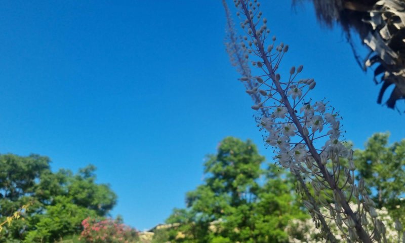 סימנים ראשונים: תחזית מזג אוויר לימים הקרובים