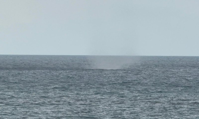 לקראת הסערה: תופעת טבע נדירה תועדה בצפון