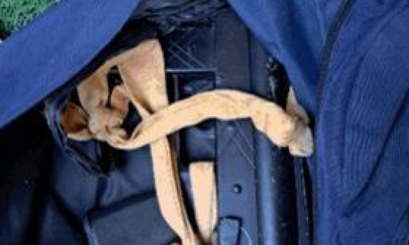 נעצרה חוליית הטרור שביצעה פיגועי ירי בבנימין