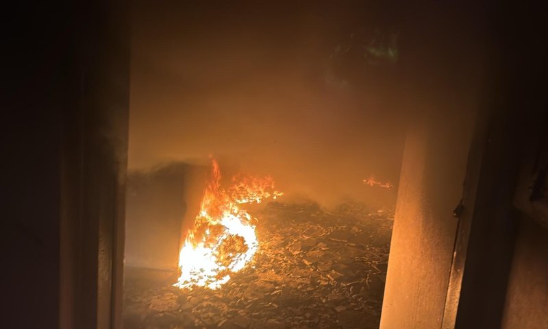 אסון: כוכב ילדים בריטי נהרג בשריפה בלוס אנג'לס