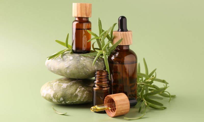 פלאי הרוזמרין: הסוד הירוק שישפר לכם את הזיכרון