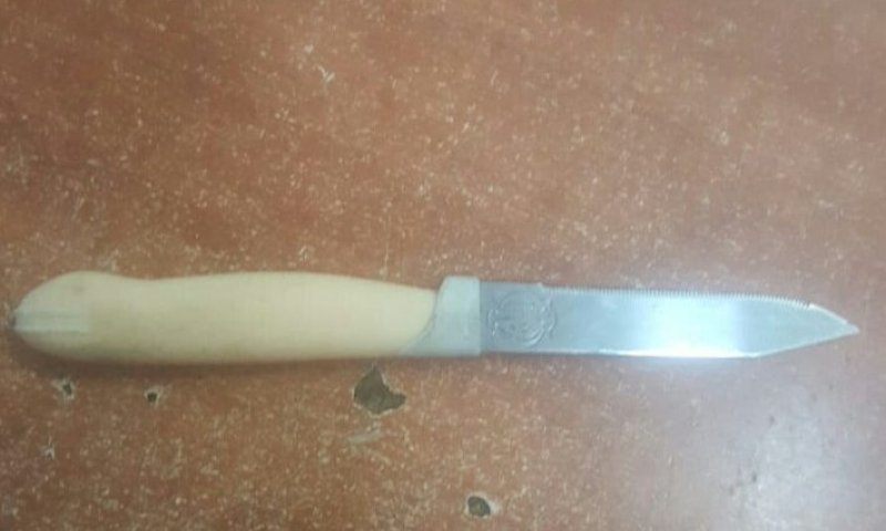 מחבלת חמושה בסכין נתפסה בפתח מערת המכפלה
