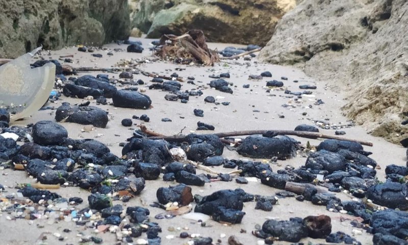 הגל השני: גושי זפת חזרו לכסות בשחור את החופים