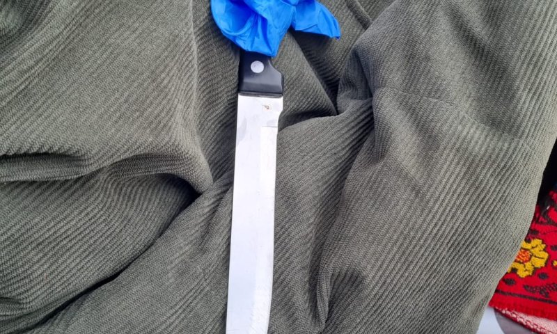 תיעוד: מחבל ניסה לדרוס חיילים בגוש עציון ונורה