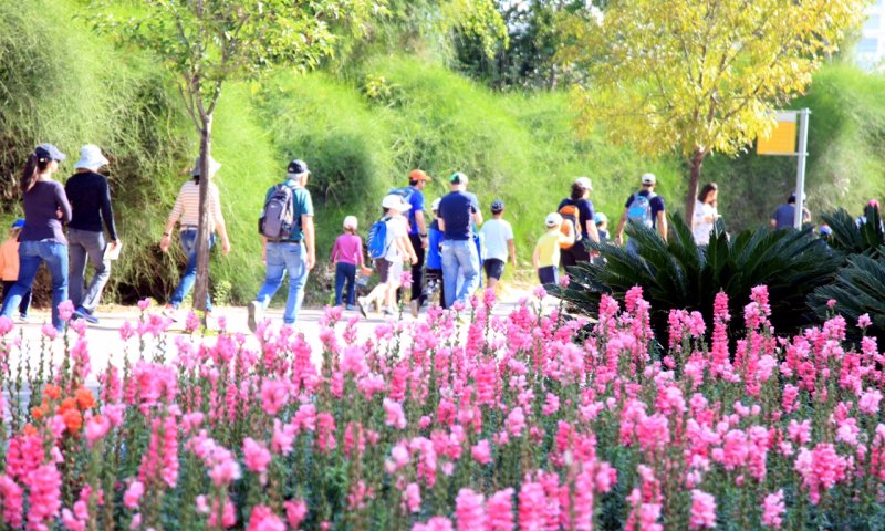 צאו לחגוג: מדריך אירועים ופעילויות לפסח תשע"ט