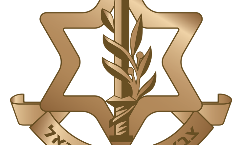 מהיום: כך נראה הסמל החדש של צה"ל