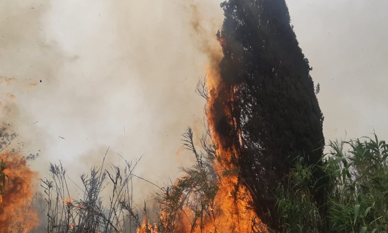 השריפה מתפשטת: רכבות הופסקו, תושבים פונו