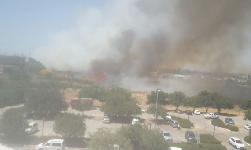 שריפת קוצים ענקית סמוך למטה משרד החקלאות