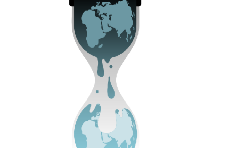 דעה: הדלפות ויקיליקס &ndash; ניצחון פירוס לחופש העיתונות