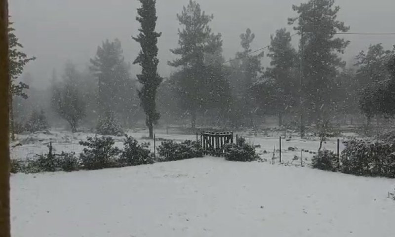 התחלנו: שלג החל לרדת בצפון רמת הגולן. צפו