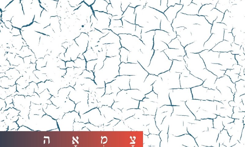 האזינו: 'כי אנו עמך' &ndash; ארז לב ארי שר הרבי מלובביץ'