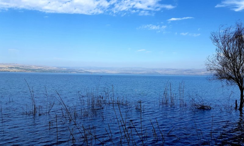 אחרי לילה גשום: מפלס הכנרת בעוד עליה נאה